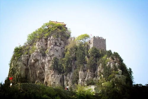 來淄博 看淄博 2018首屆全國國際象棋棋協(xié)大師賽看過來