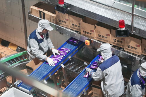 蒙牛乳業攜手馬鞍山，驅動綠色食品產業邁向新征程